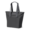 Daytrip 20L Insulated Tote Bag
